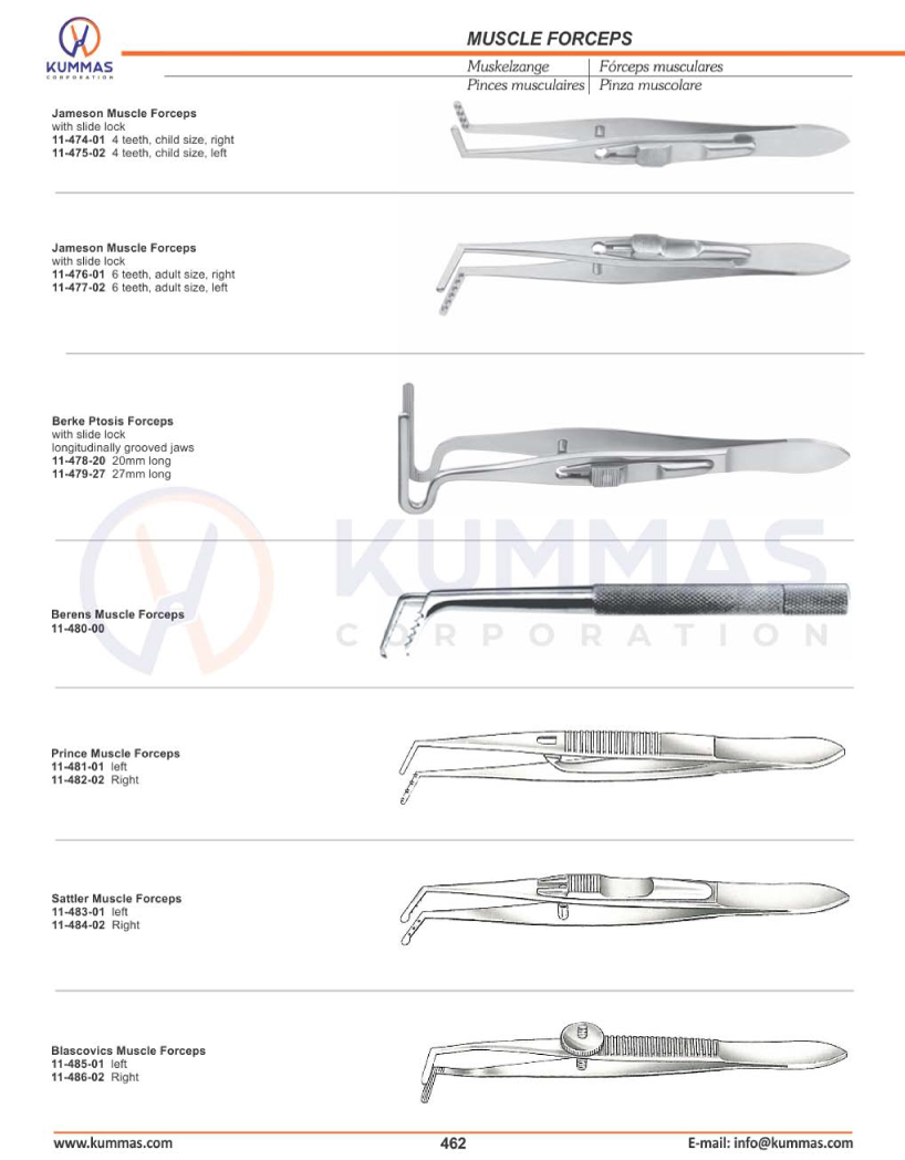 Muscle Forceps